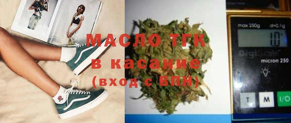 индика Абинск