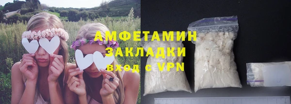 индика Абинск