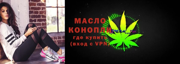 индика Абинск