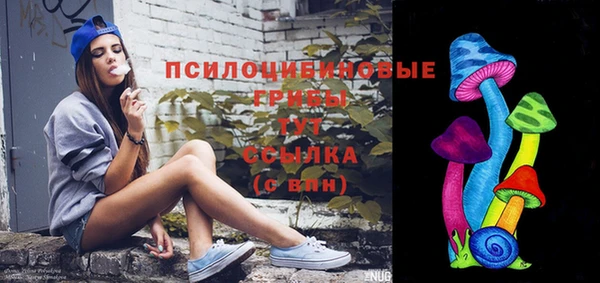 индика Абинск
