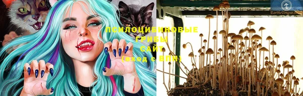 индика Абинск